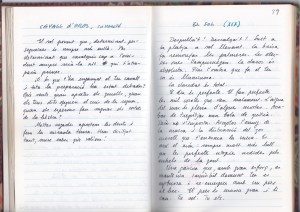 J. M. Sobrer, Les cartes amigues, 38-39