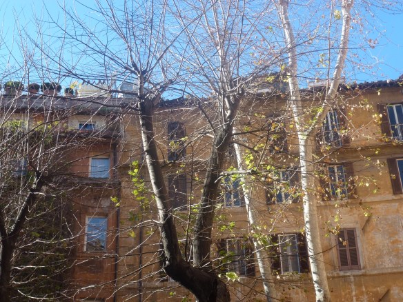 Via della Pace, Roma. Fot. Frèia Berg, 2015