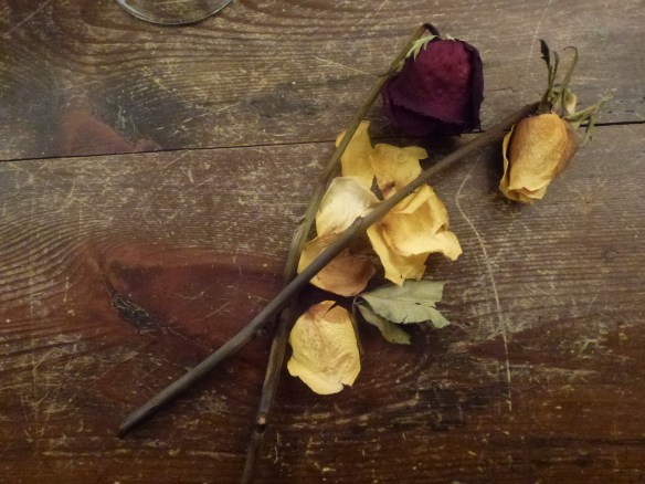 Frèia Berg: Roses i ambre. Composició, 1 (2015)