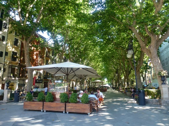 Passeig del Born, Palma de Mallorca (juny 1015). Fot. Frèia Berg. 