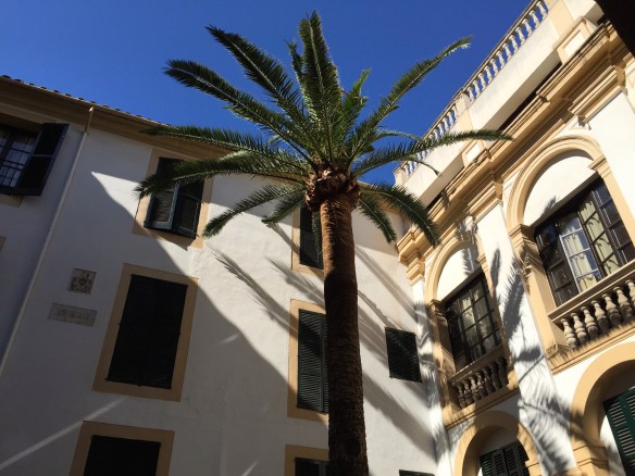 Pati amb palmeres. Palma de Mallorca (juny 2015). Fot. Frèia Berg
