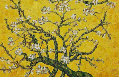 Vincent Van Gogh, Branques d'ametller florit a Saint Rémy