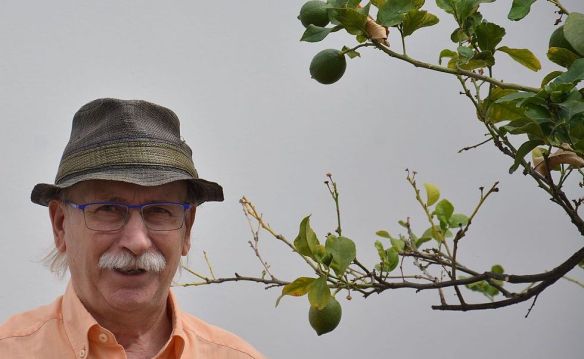 Bienve_Moya_2016 còpia