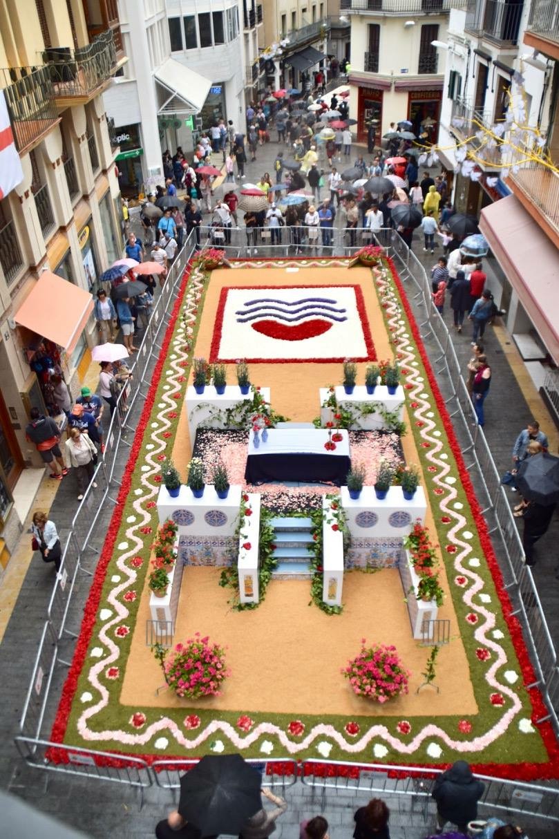 Vista aèria IMG_4637 2