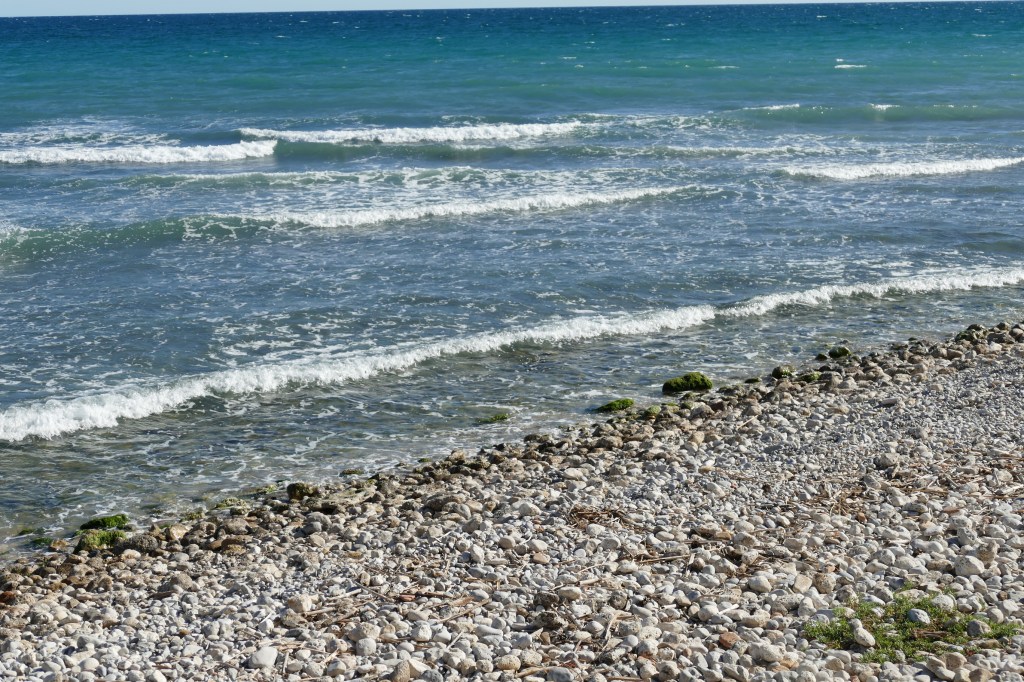 Frèia Berg, Suite de Terramar, XXXI (2019)